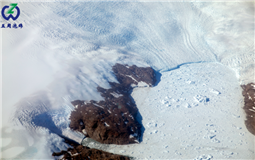 从冰川1天融化120亿吨 了解海绵内衬市场现状