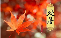 最美人间处暑秋 最佳定制找五周 最美人间处暑秋 最佳定制找五周