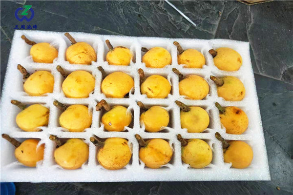 枇杷托是用哪种包装材料？