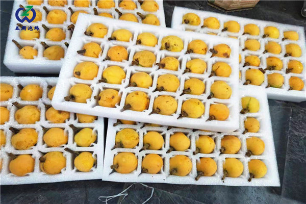 枇杷内托定做哪家比较好