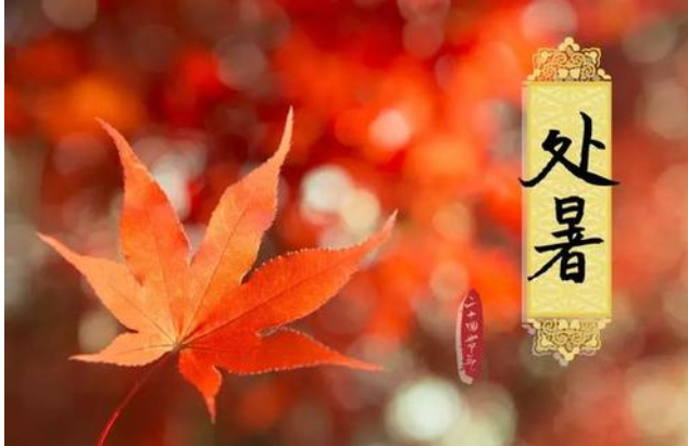 最美人间处暑秋 最佳定制找五周